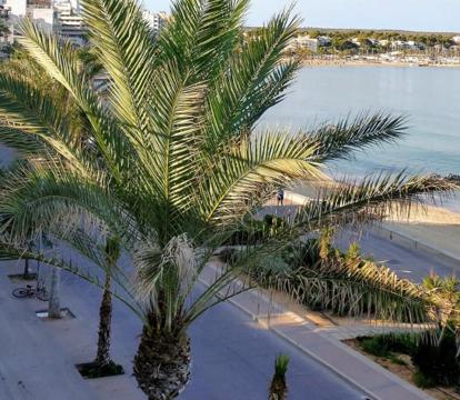 Descubre los hoteles más impresionantes de El Arenal con vistas al mar, disfruta de la brisa del mar y relájate en tus vacaciones perfectas.
